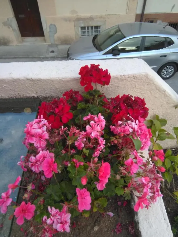 Apartament Farol De Vida Coimbra